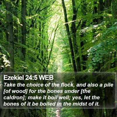 Ezekiel 24:5 WEB Bible Verse Image