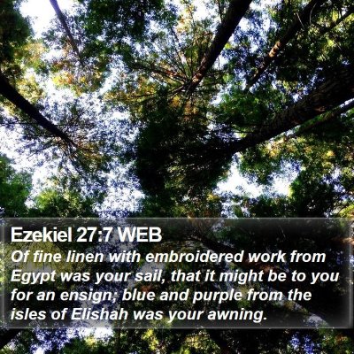 Ezekiel 27:7 WEB Bible Verse Image