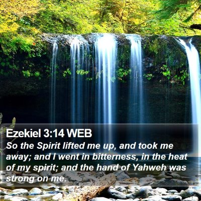 Ezekiel 3:14 WEB Bible Verse Image