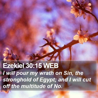 Ezekiel 30:15 WEB Bible Verse Image