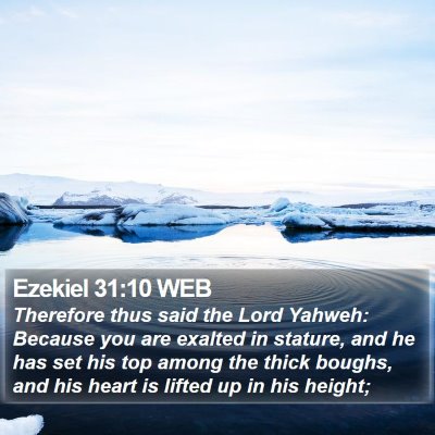Ezekiel 31:10 WEB Bible Verse Image