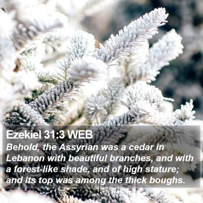 Ezekiel 31:3 WEB Bible Verse Image