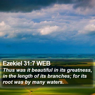Ezekiel 31:7 WEB Bible Verse Image