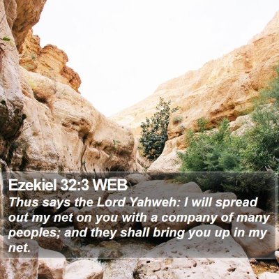 Ezekiel 32:3 WEB Bible Verse Image