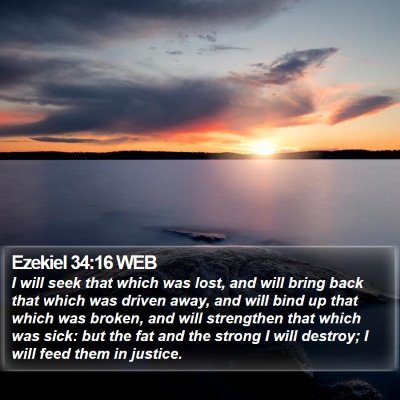 Ezekiel 34:16 WEB Bible Verse Image