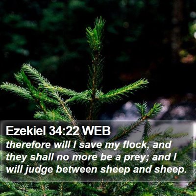 Ezekiel 34:22 WEB Bible Verse Image