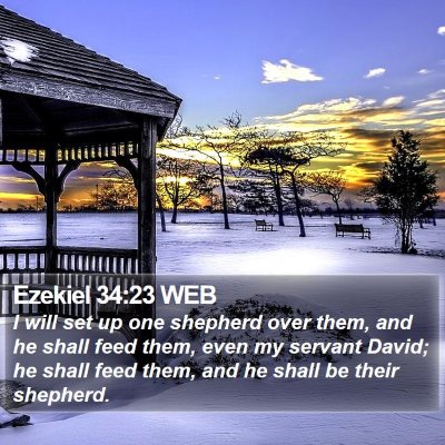 Ezekiel 34:23 WEB Bible Verse Image