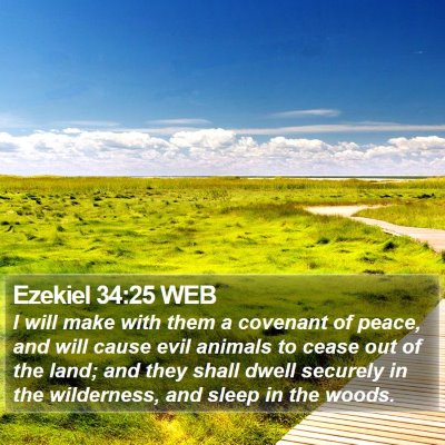 Ezekiel 34:25 WEB Bible Verse Image
