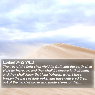 Ezekiel 34:27 WEB Bible Verse Image