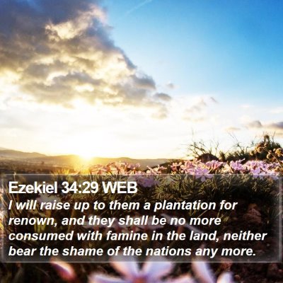 Ezekiel 34:29 WEB Bible Verse Image