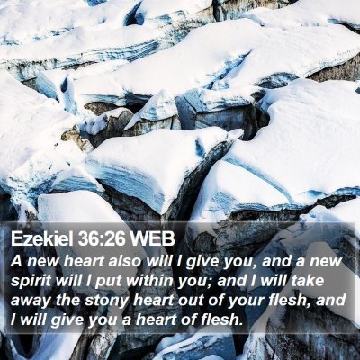 Ezekiel 36:26 WEB Bible Verse Image