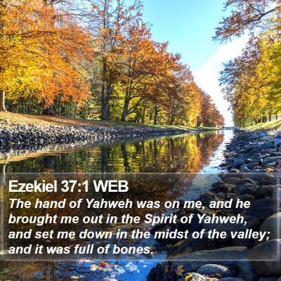 Ezekiel 37:1 WEB Bible Verse Image