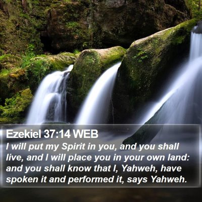 Ezekiel 37:14 WEB Bible Verse Image