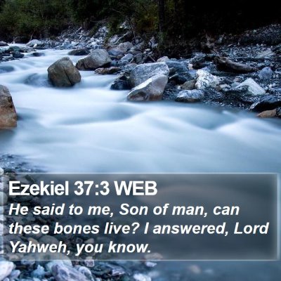 Ezekiel 37:3 WEB Bible Verse Image