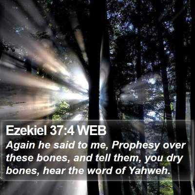 Ezekiel 37:4 WEB Bible Verse Image