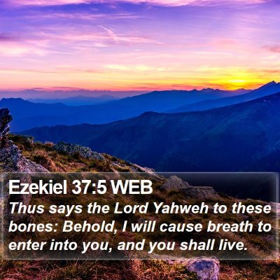 Ezekiel 37:5 WEB Bible Verse Image
