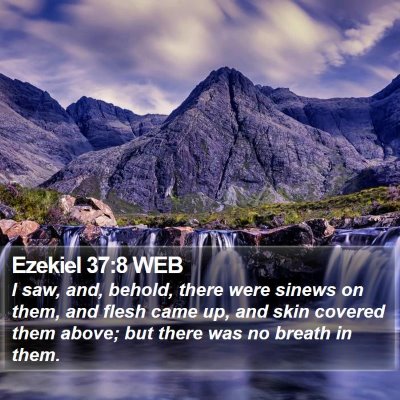 Ezekiel 37:8 WEB Bible Verse Image