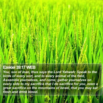 Ezekiel 39:17 WEB Bible Verse Image