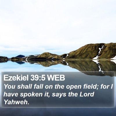 Ezekiel 39:5 WEB Bible Verse Image