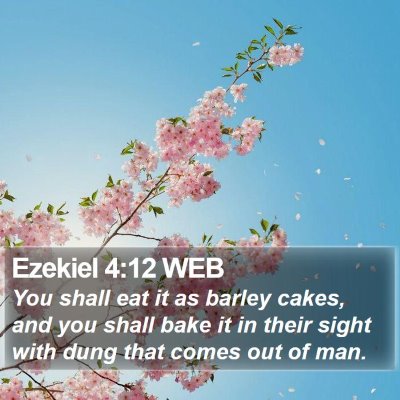 Ezekiel 4:12 WEB Bible Verse Image