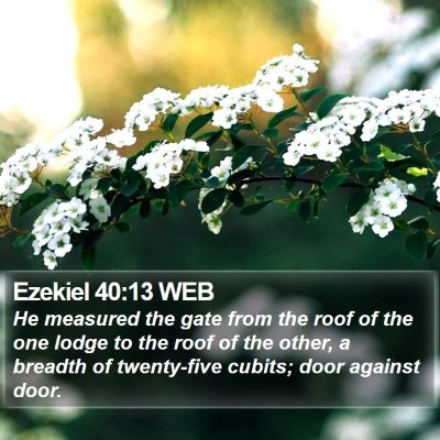Ezekiel 40:13 WEB Bible Verse Image