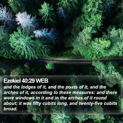 Ezekiel 40:29 WEB Bible Verse Image