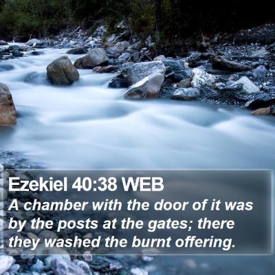 Ezekiel 40:38 WEB Bible Verse Image