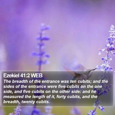 Ezekiel 41:2 WEB Bible Verse Image