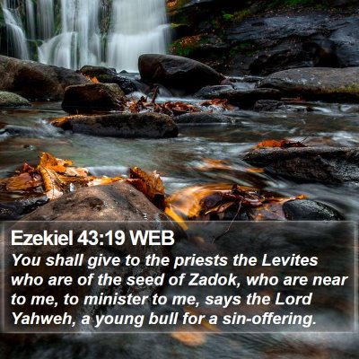 Ezekiel 43:19 WEB Bible Verse Image