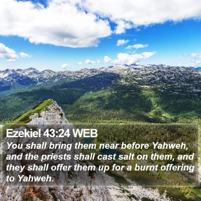 Ezekiel 43:24 WEB Bible Verse Image