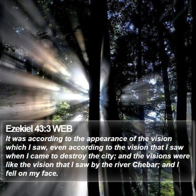 Ezekiel 43:3 WEB Bible Verse Image