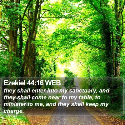 Ezekiel 44:16 WEB Bible Verse Image