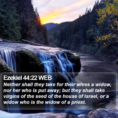 Ezekiel 44:22 WEB Bible Verse Image