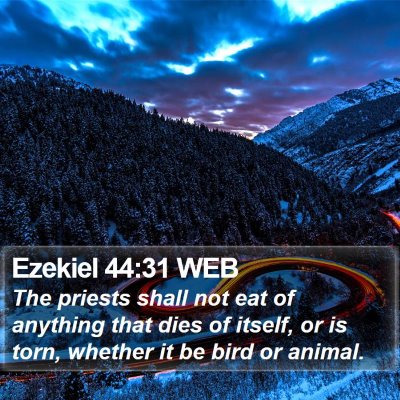 Ezekiel 44:31 WEB Bible Verse Image