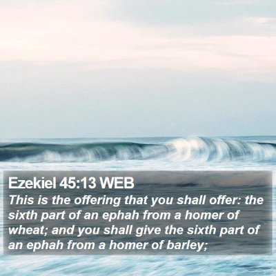 Ezekiel 45:13 WEB Bible Verse Image