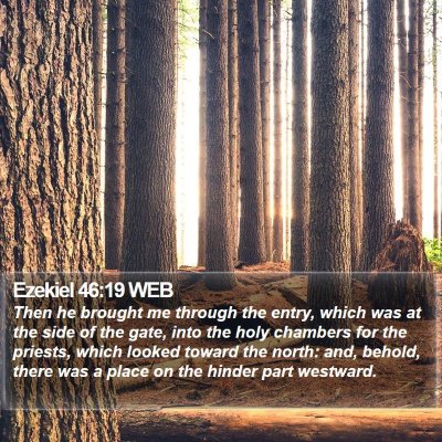 Ezekiel 46:19 WEB Bible Verse Image