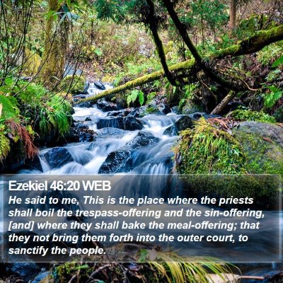 Ezekiel 46:20 WEB Bible Verse Image