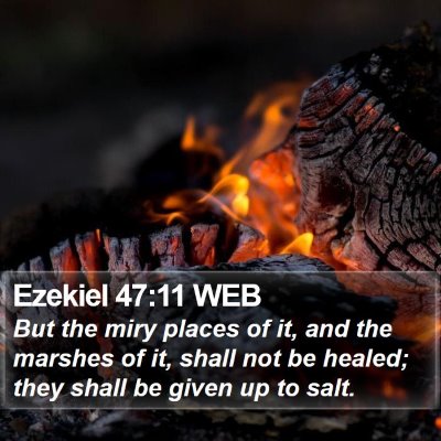Ezekiel 47:11 WEB Bible Verse Image