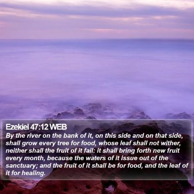 Ezekiel 47:12 WEB Bible Verse Image