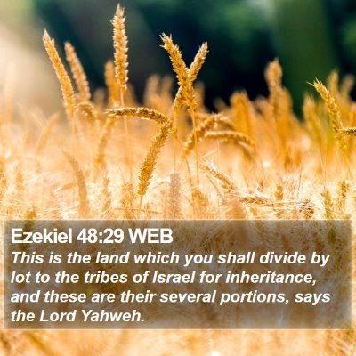 Ezekiel 48:29 WEB Bible Verse Image