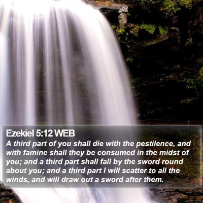 Ezekiel 5:12 WEB Bible Verse Image