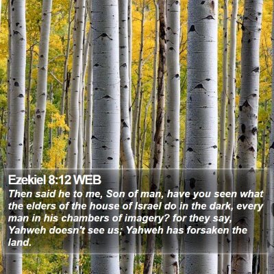 Ezekiel 8:12 WEB Bible Verse Image