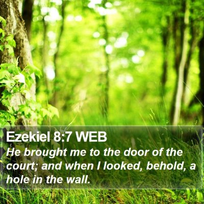 Ezekiel 8:7 WEB Bible Verse Image