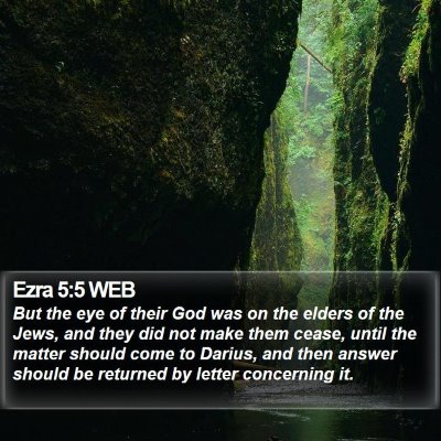 Ezra 5:5 WEB Bible Verse Image