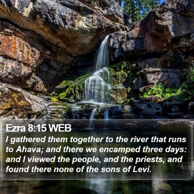 Ezra 8:15 WEB Bible Verse Image