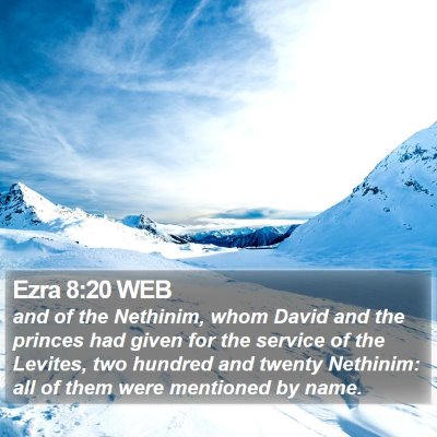 Ezra 8:20 WEB Bible Verse Image