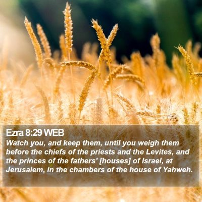 Ezra 8:29 WEB Bible Verse Image