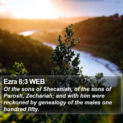 Ezra 8:3 WEB Bible Verse Image
