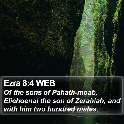 Ezra 8:4 WEB Bible Verse Image
