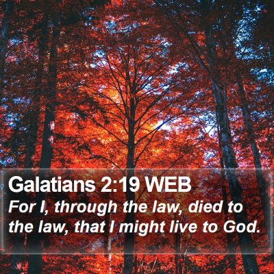 Galatians 2:19 WEB Bible Verse Image